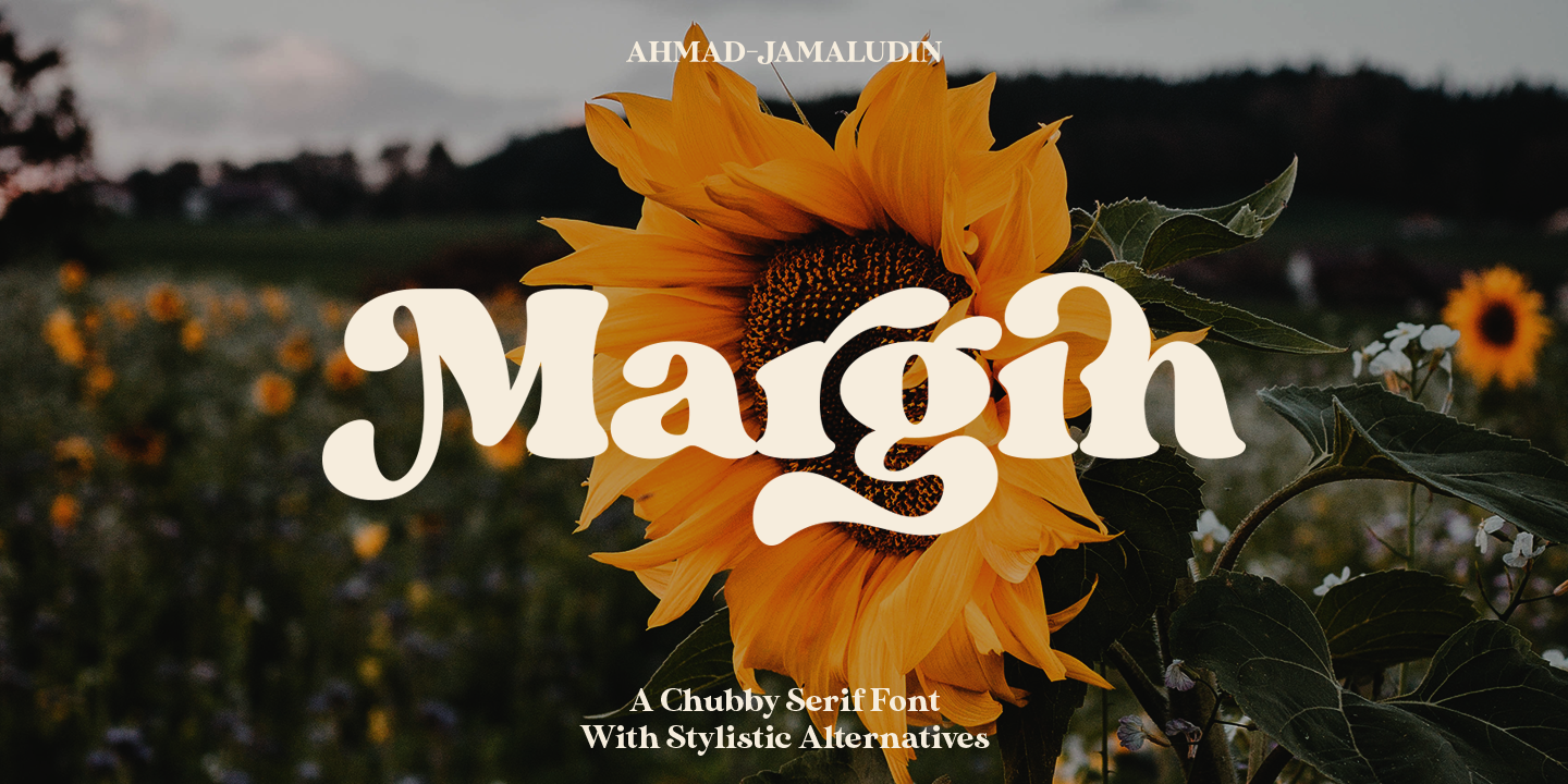 Margin Regular Font preview